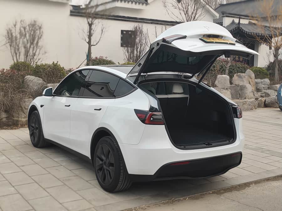 Tesla Model Y 2024 car image #16