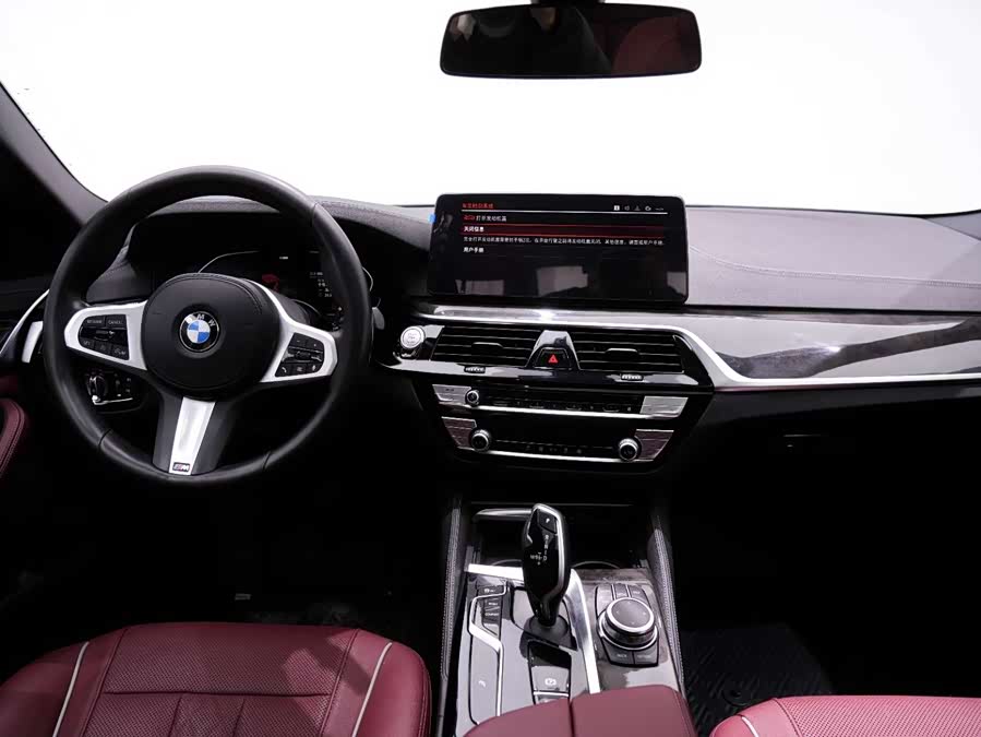 BMW 5 Series 2022 car image #16
