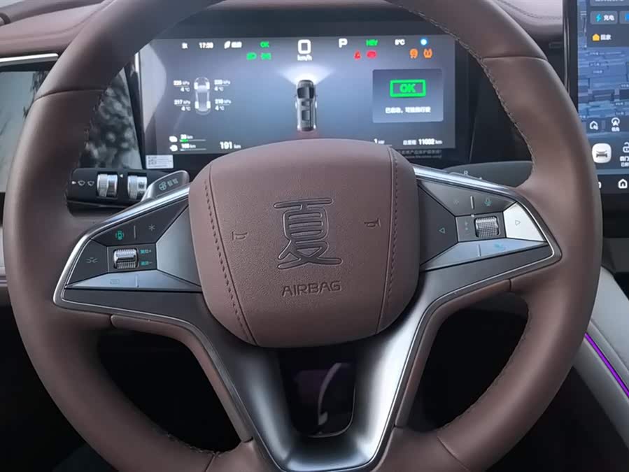 BYD Xia 2024 imagen de coche #16