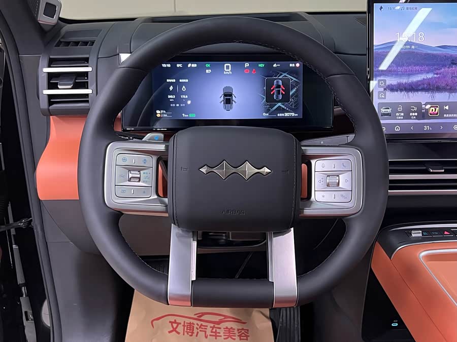 FangChengBao Tiger 7 2025 car image #16