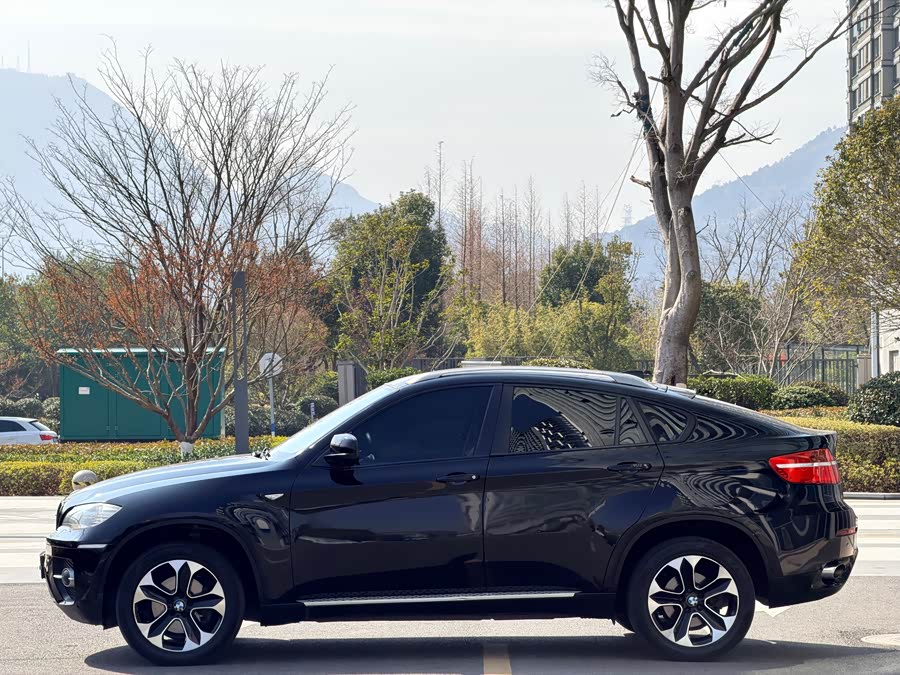 BMW X6 2012 car image #16