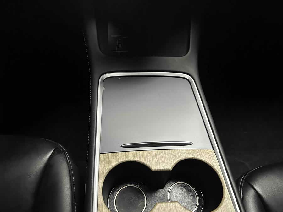 Tesla Model 3 2023 car image #16