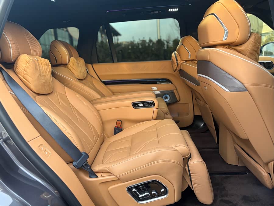 Zeekr 9X 2025 car image #16