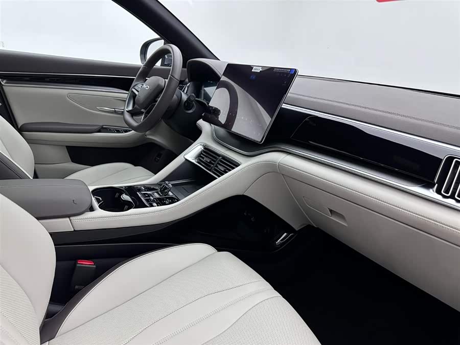 BYD Song Plus New Energy 2025 car image #16