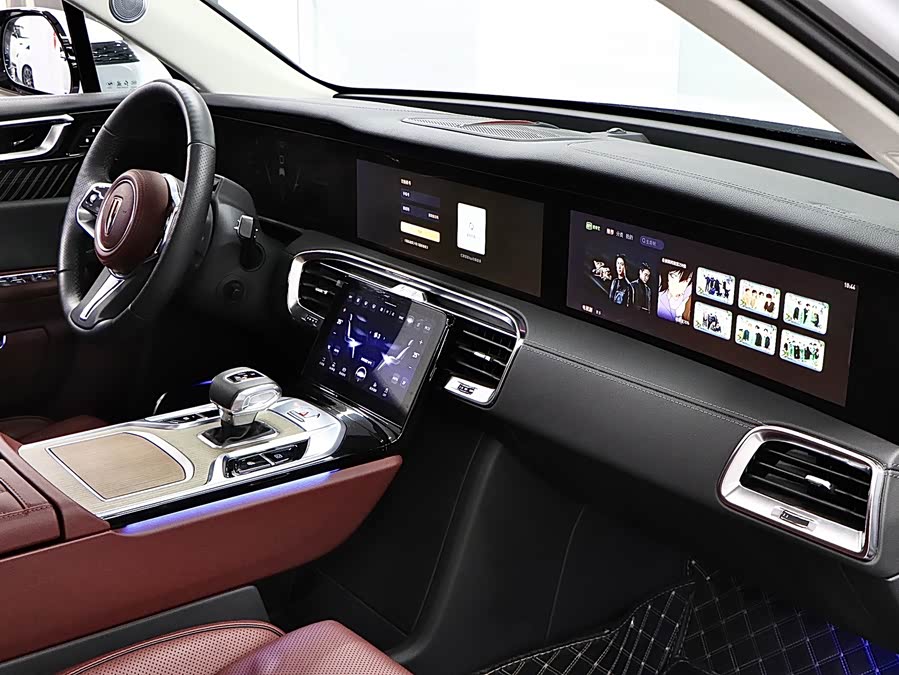 HongQi E-HS9 2023 immagine di auto #16