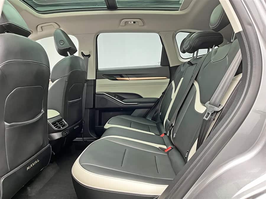 Haval H6 2023 car image #16