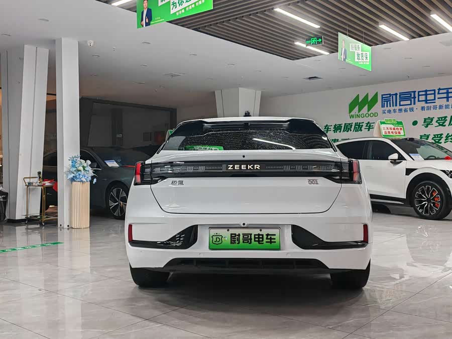 极氪 极氪001 2023 汽车图片 #16