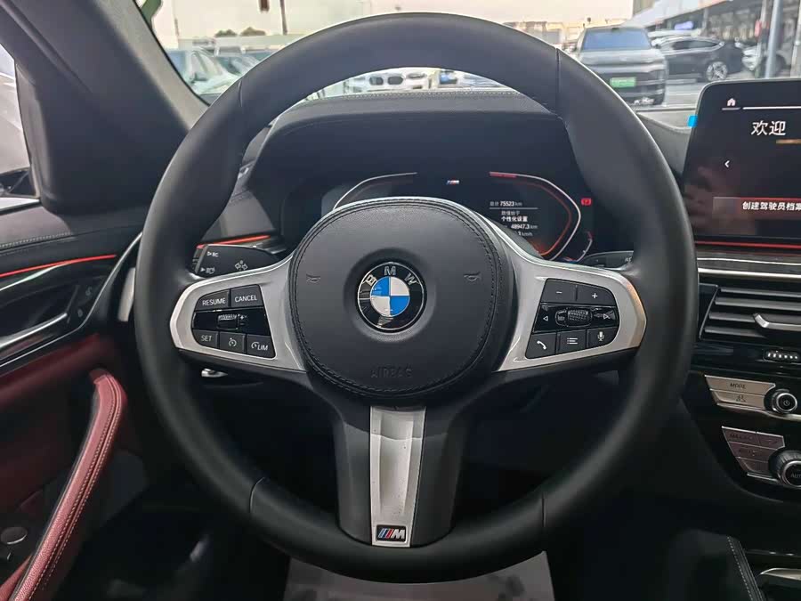 BMW 5 Series 2021 car image #16