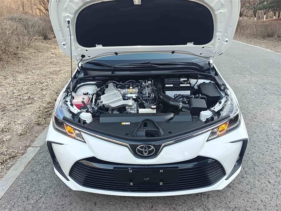 Toyota Corolla 2021 imagen de coche #16