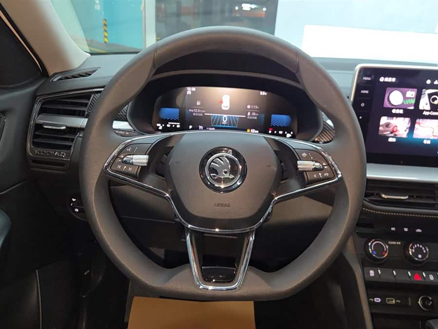 Skoda Kodiaq 2024 imagem de carro #16