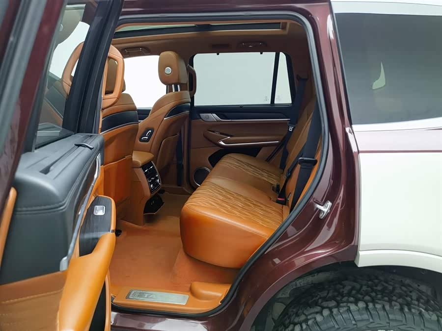 坦克 坦克500 2023 汽车图片 #16