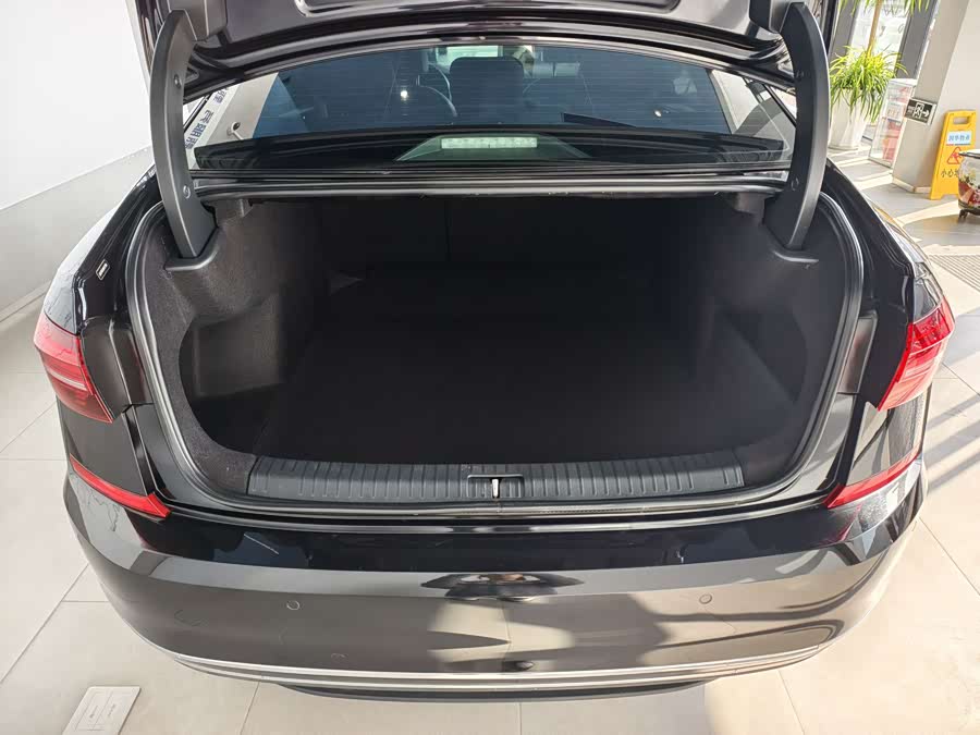Volkswagen Passat 2019 car image #16