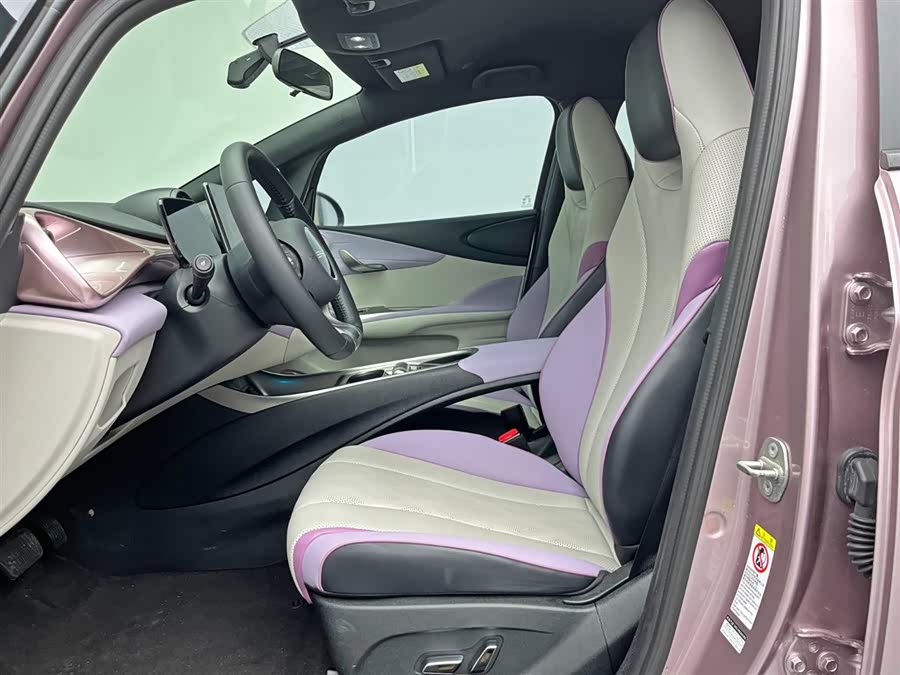 BYD Dolphin 2023 immagine di auto #16