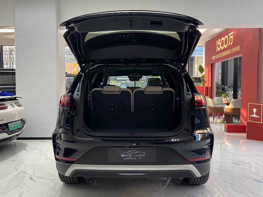 BYD Tang New Energy 2025 car image #16
