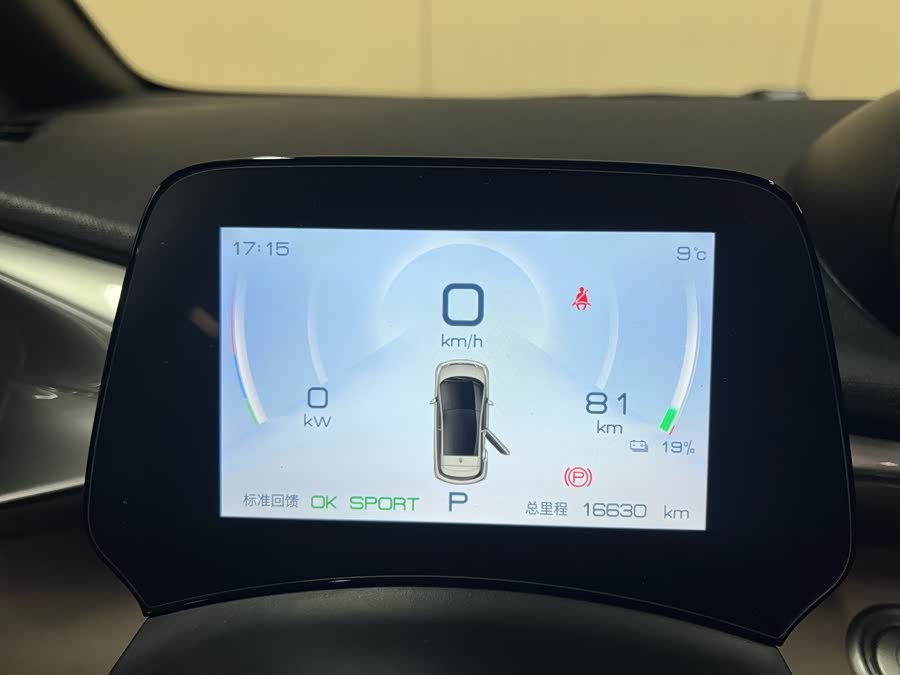 BYD Dolphin 2024 #16 BYD Dolphin 2024 car image #16