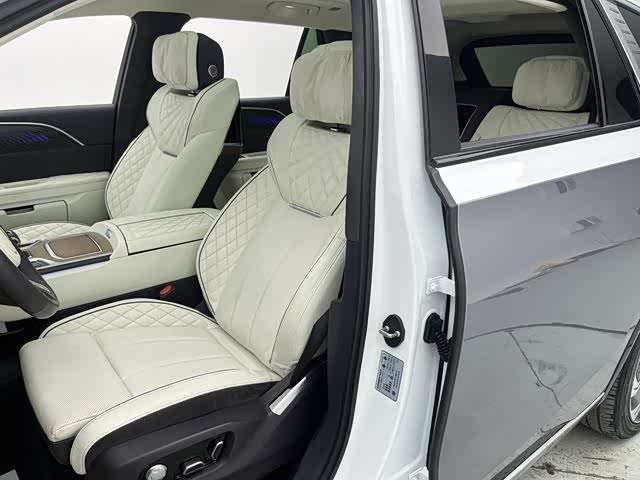 HongQi E-HS9 2023 car image #16