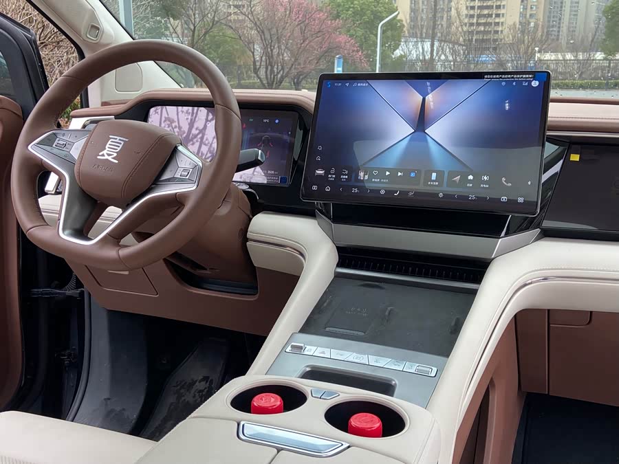 BYD Xia 2025 imagen de coche #16