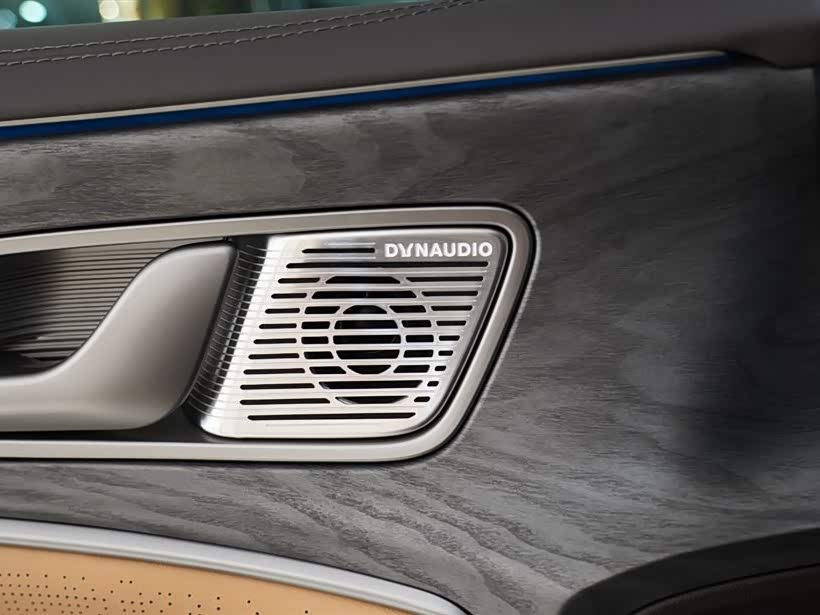 Denza D9 2025 imagen de coche #16