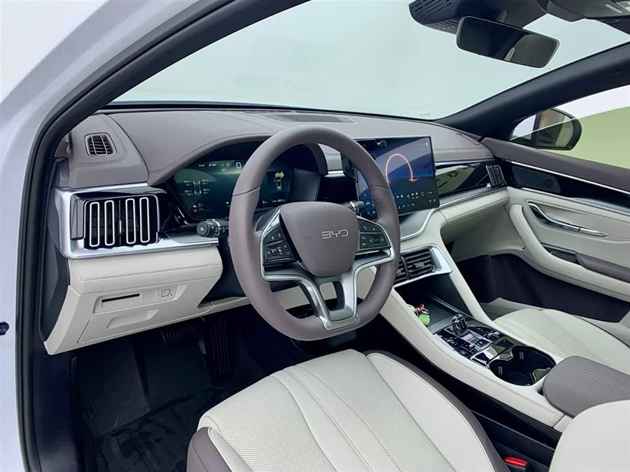 BYD Song Plus New Energy 2025 car image #16