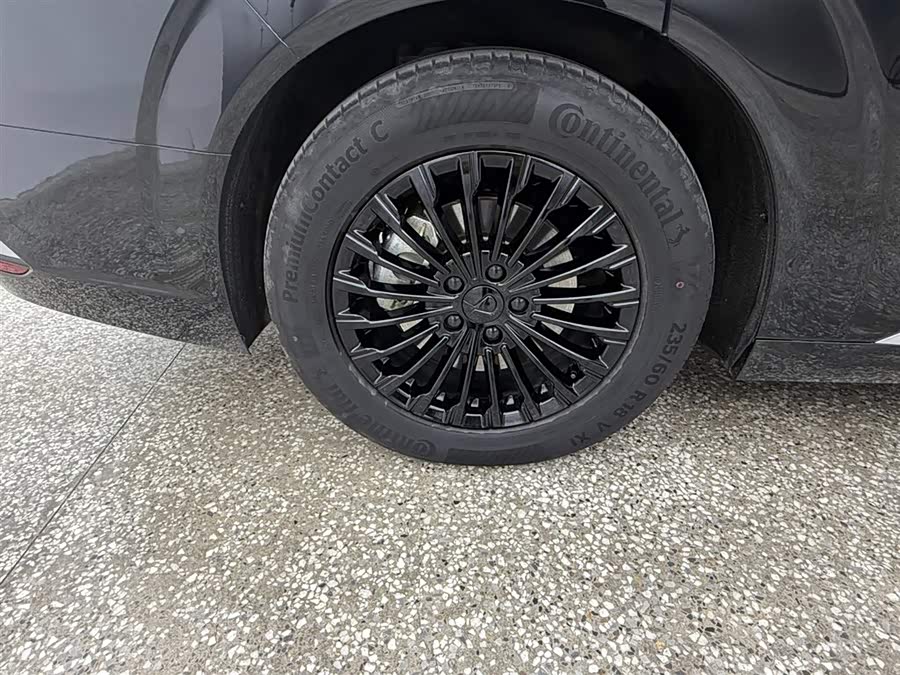 Denza D9 2023 изображение автомобиля #16