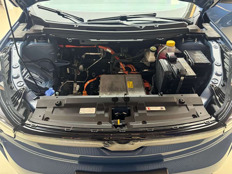 Neta U 2024 image de voiture #16