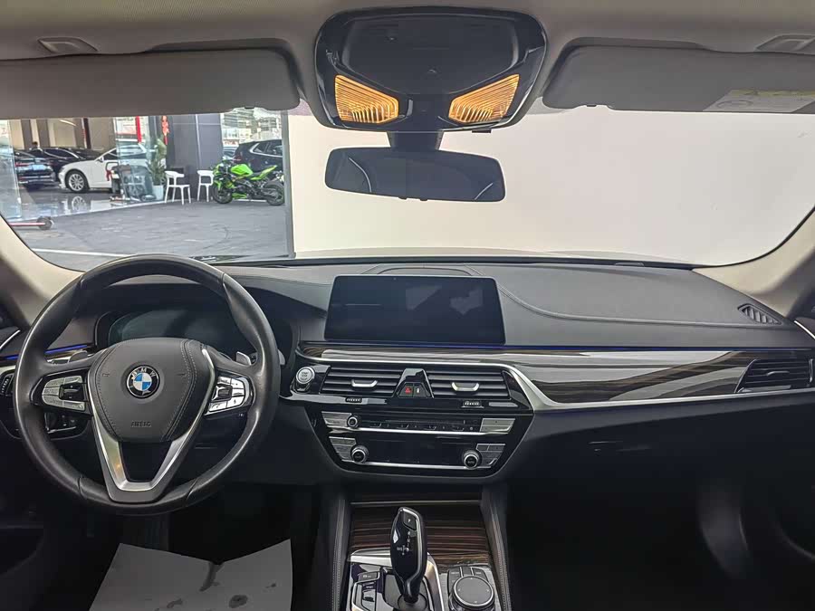 BMW 5 Series 2019 car image #16