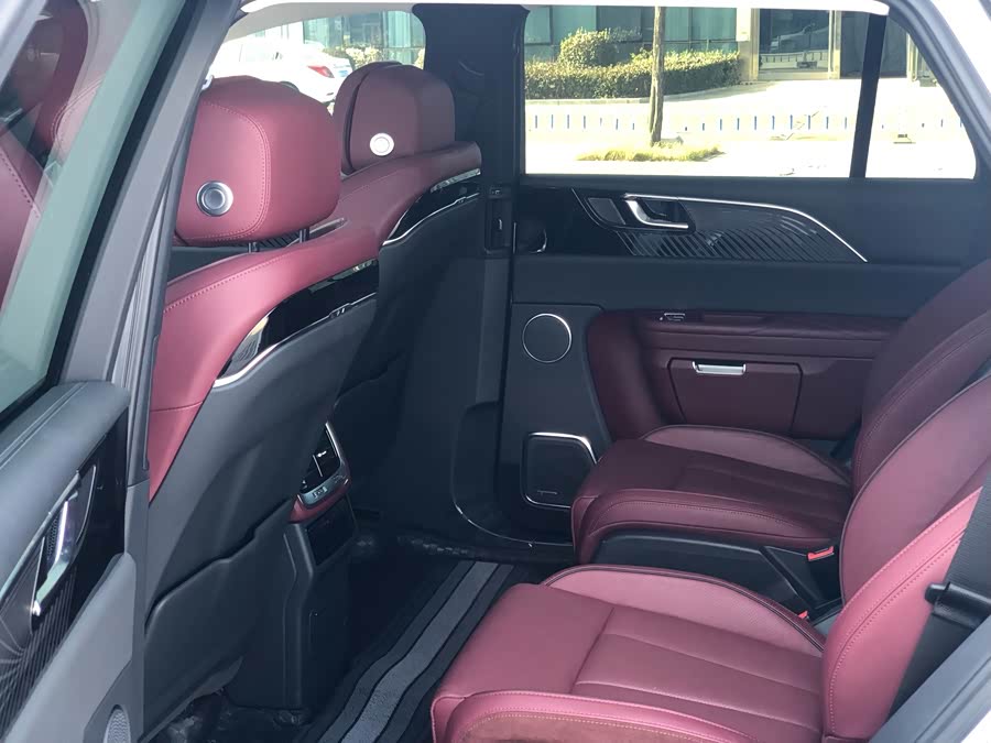 HongQi E-HS9 2021 car image #16