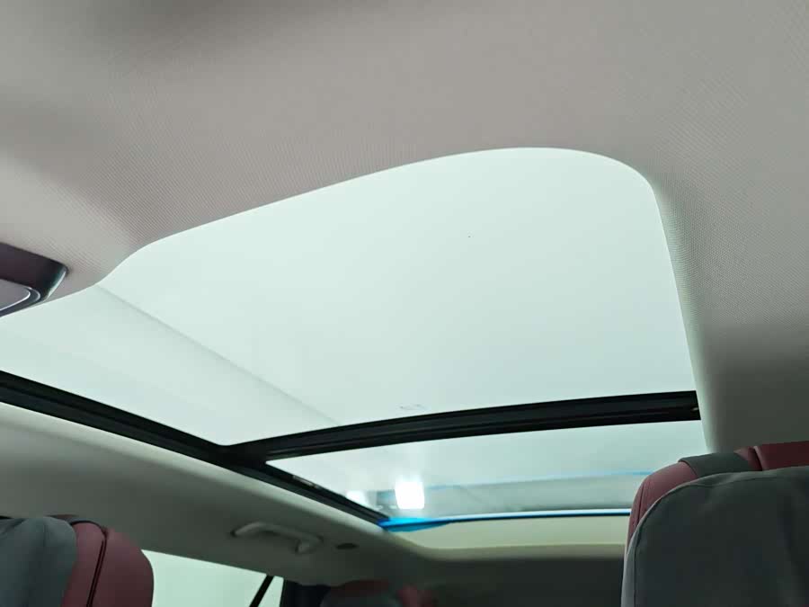 HongQi E-HS9 2023 car image #16