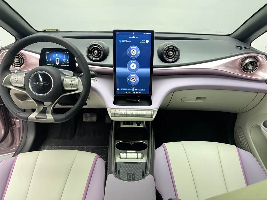 BYD Dolphin 2022 صورة سيارة #16