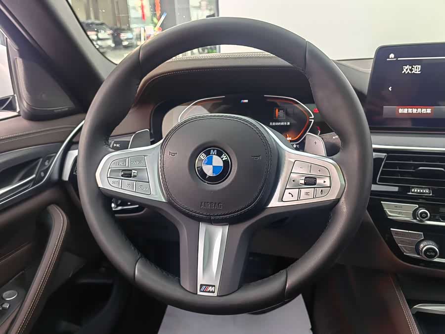 BMW 5 Series 2024 car image #16