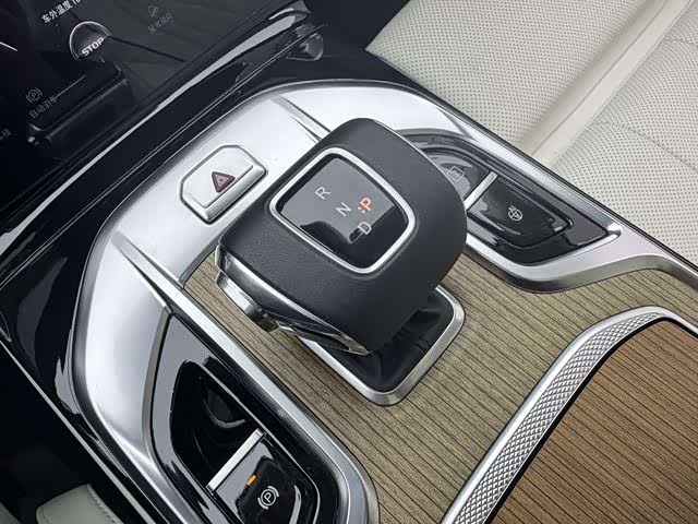 HongQi E-HS9 2023 image de voiture #16