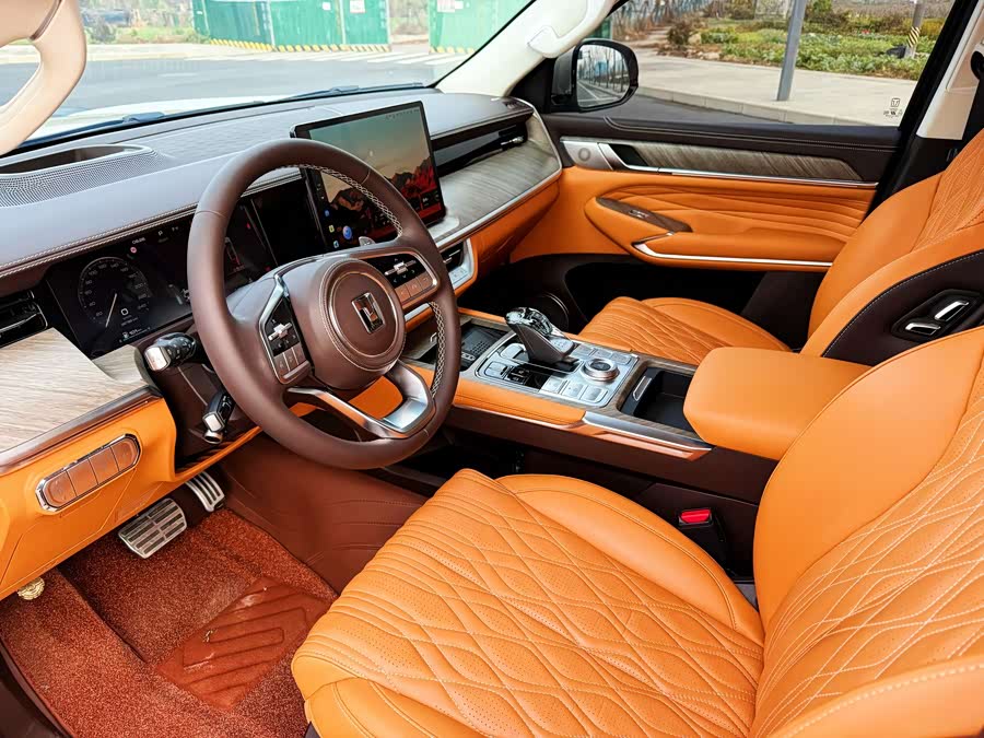 坦克 坦克500 2022 汽车图片 #16