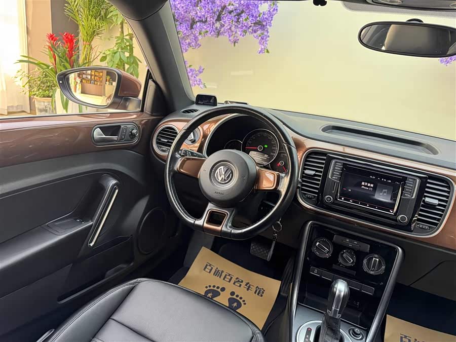 Volkswagen Beetle 2017 immagine di auto #16