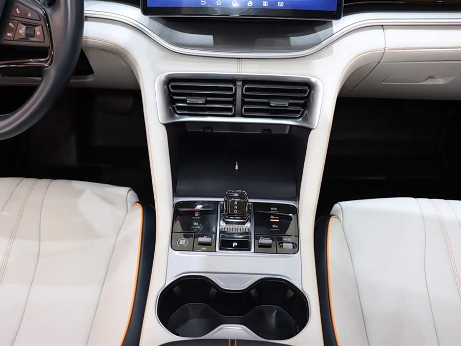 BYD Song Plus New Energy 2023 immagine di auto #16