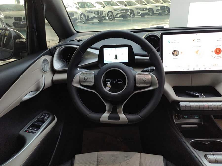 BYD Dolphin 2025 imagem de carro #16