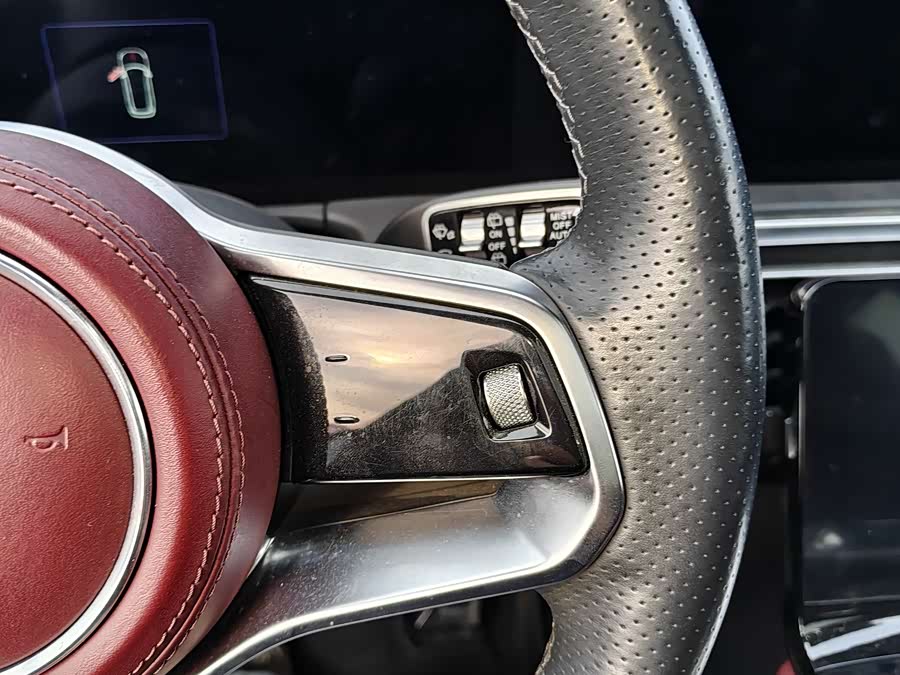 HongQi E-HS9 2021 immagine di auto #16