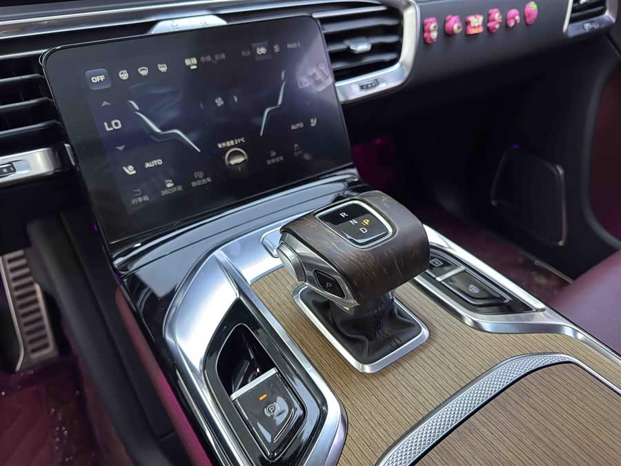 HongQi E-HS9 2021 image de voiture #16