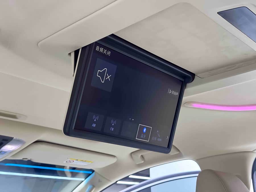 Toyota Alphard 2021 immagine di auto #16