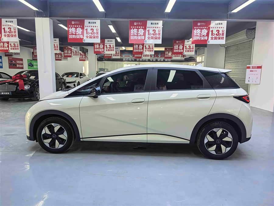 BYD Dolphin 2024 صورة سيارة #16
