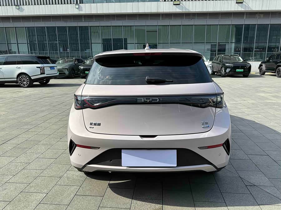 BYD Dolphin 2025 صورة سيارة #16
