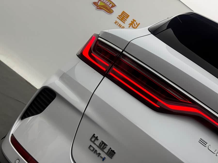 BYD Song Plus New Energy 2022 immagine di auto #16