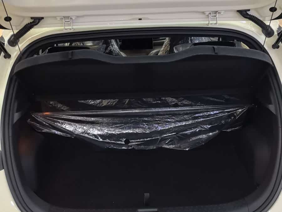 BYD Dolphin 2026 صورة سيارة #16