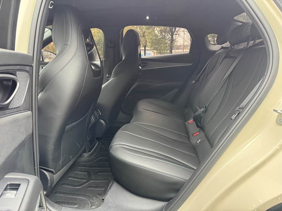 BYD Tang New Energy 2022 car image #16