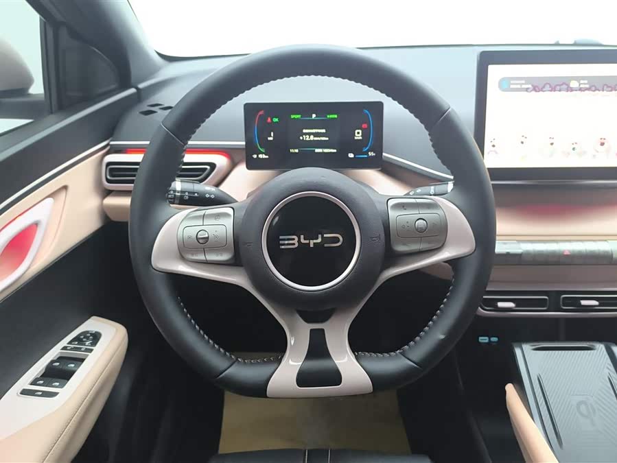 BYD Seagull 2024 immagine di auto #16