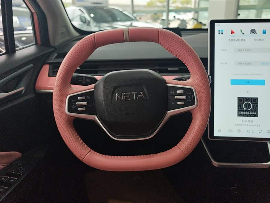 Neta V 2022 صورة سيارة #16