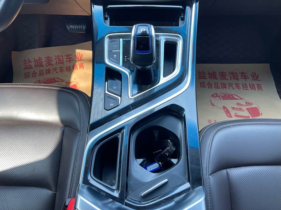 睿蓝汽车 枫叶80v 2020 汽车图片 #16