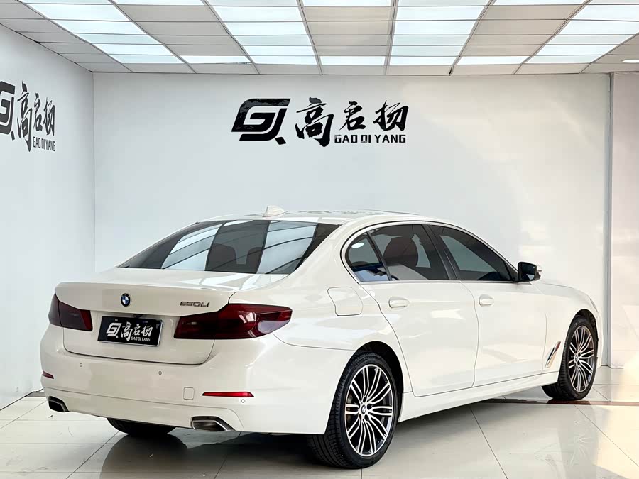 BMW 5 Series 2017 car image #16