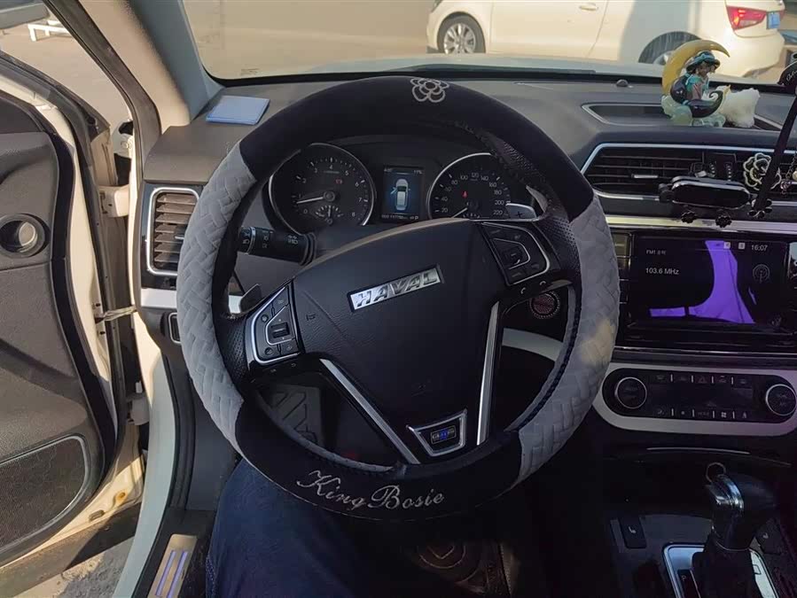 Haval H6 Coupe 2016 image de voiture #16