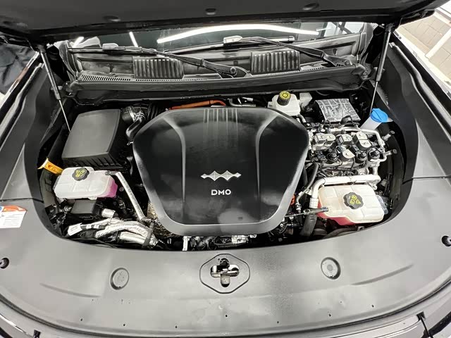 FangChengBao Leopard 8 2024 immagine di auto #16