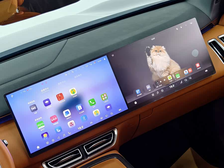 Deepal S09 2025 car image #16